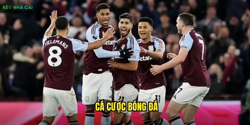 cược bóng đá
